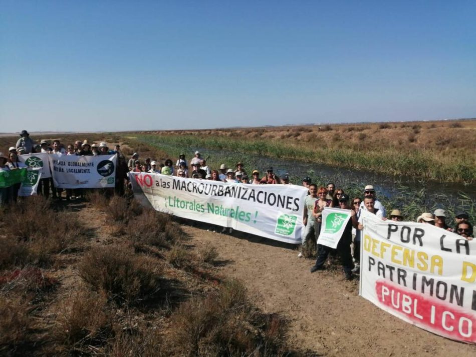 Celebran la cancelación del proyecto de macrourbanización en las marismas de Trebujena, en Cádiz