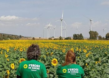 Verdes de Europa da su apoyo a SUMAR