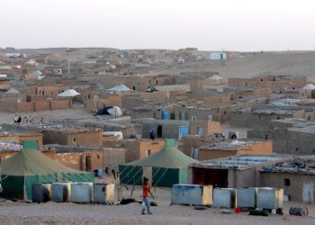 Dramática situación de la población saharaui refugiada en el desierto argelino