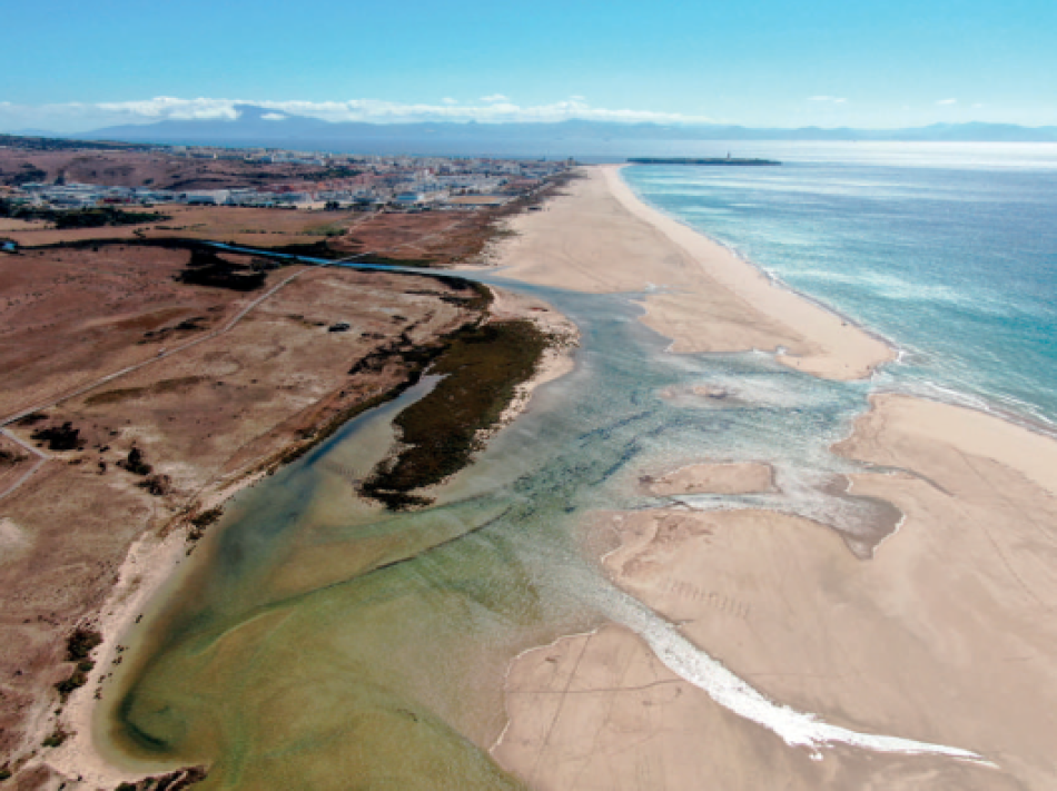 Se presentan las 48 Banderas Negras a los casos más relevantes de contaminación y mala gestión del litoral