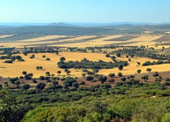 Ciudad Real: la opacidad de actuación del GDR «Tierras de Libertad» deja en el aire 3 millones de euros en ayudas europeas