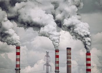 Lluvia de críticas a SEO/Birdlife por unirse a la estrategia de marketing empresarial de Iberdrola: la ONG teje alianzas con el gigante energético al tiempo que protesta contra sus proyectos de eólica marina en Galicia