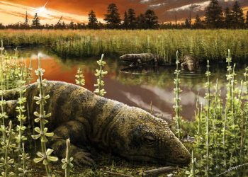 El tramuntanasaurio, nueva especie de reptil fósil encontrada en Mallorca
