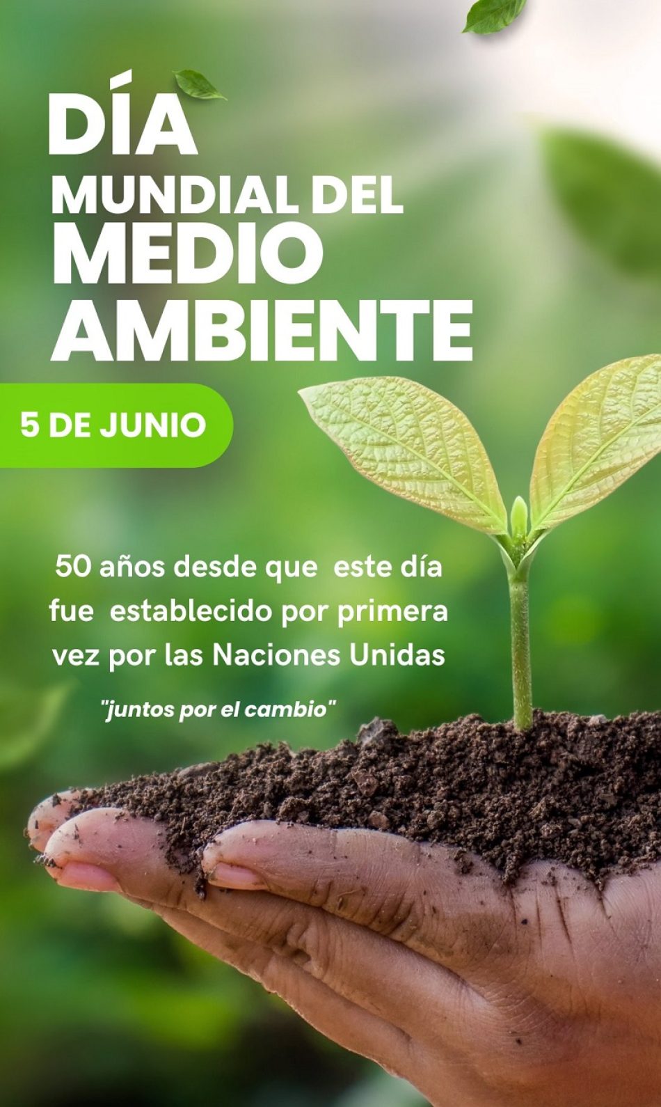 Verdes EQUO alerta del peligro de involución de las políticas ambientales y anima a ser consecuentes el próximo 23J