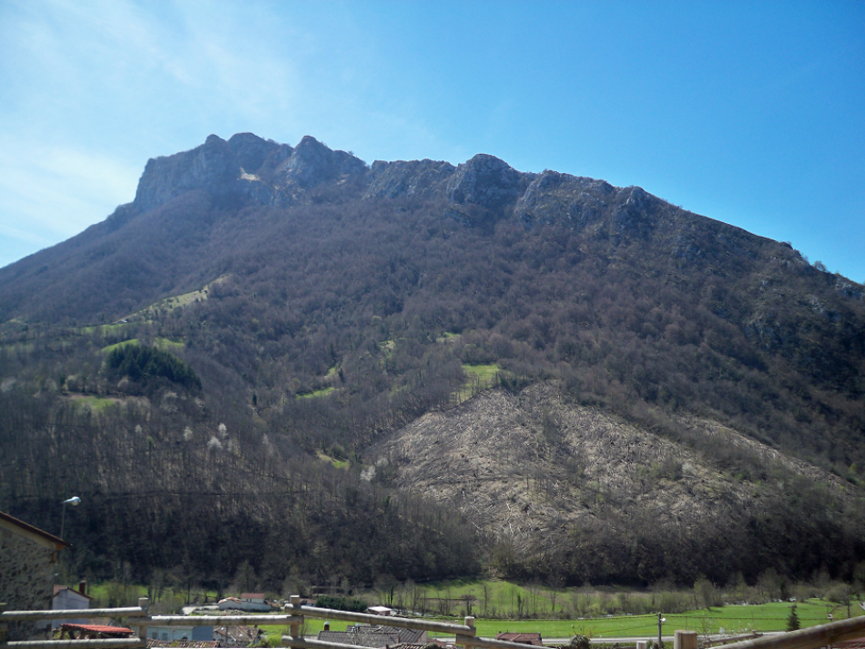 «Exigimos al nuevo gobierno de Asturias una apuesta por el control biológico de las plagas de los castaños»