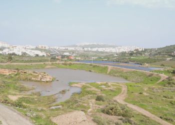 Carta Abierta a Carolina Darias a propósito de las Charcas de San Lorenzo