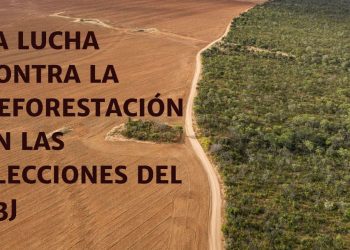 PSOE, PP, Sumar, ERC y BNG se comprometen con la lucha contra la deforestación