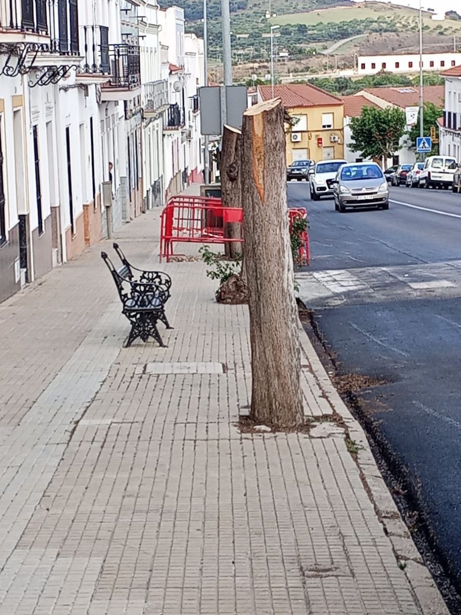 Ayuntamiento de Monesterio (Badajoz), primer nominado de la Campaña 2023-24 de La Motosierra de Atila