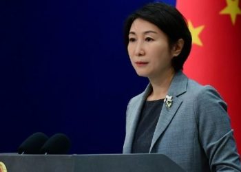 China ratifica apoyo a proceso de expansión de los Brics