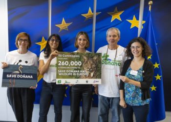 Ecologistas en Acción, Salvemos Doñana, SEO/BirdLife, WeMove Europe y WWF piden al comisario de medio ambiente que mantenga la presión europea para evitar la destrucción de Doñana