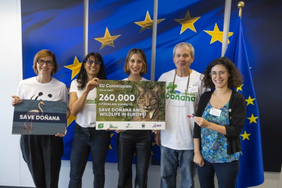 Ecologistas en Acción, Salvemos Doñana, SEO/BirdLife, WeMove Europe y WWF piden al comisario de medio ambiente que mantenga la presión europea para evitar la destrucción de Doñana