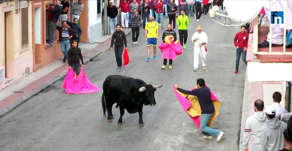 Verdes Equo expresa su firme rechazo a la subvención de premios a los encierros de Fuenlabrada