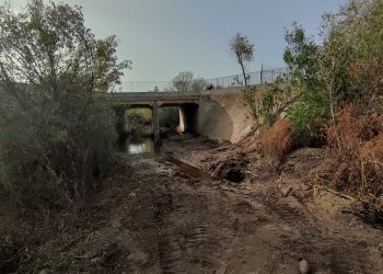 Denuncian destrucción de dos tramos del cauce del Arroyo Pedroches en Córdoba