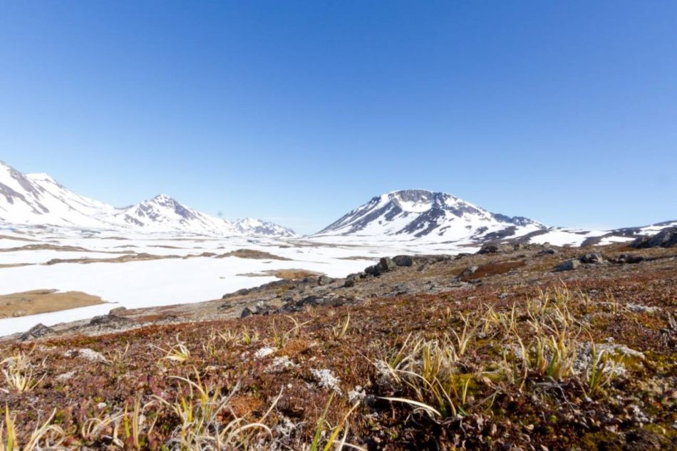 El noroeste de Groenlandia estuvo libre de hielo hace 400.000 años