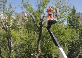 Ecologistas en Acción Badajoz fortalece el cuidado del arbolado urbano de la ciudad