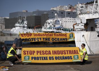 Ecologistas en Acción y Greenpeace demandan en Vigo una gestión sostenible de la pesca para proteger los océanos