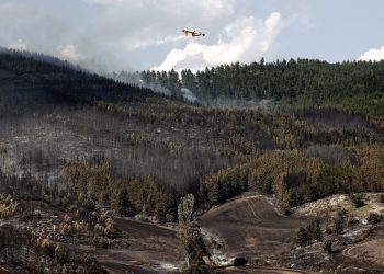 60 bomberos trabajan en el incendio forestal de Olloki (Navarra), cuyo presunto autor ya ha sido detenido