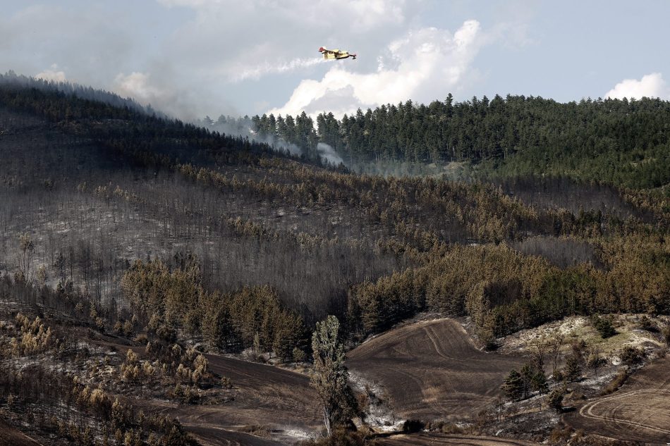 60 bomberos trabajan en el incendio forestal de Olloki (Navarra), cuyo presunto autor ya ha sido detenido
