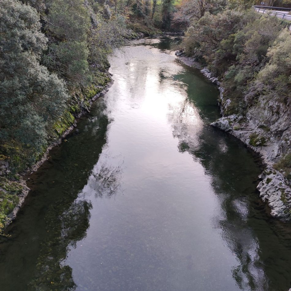 «El Principado y los pescadores de río, dispuestos a acabar con los pocos salmones que nos quedan»