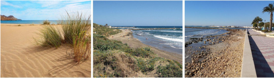 Ecologistas en Acción presenta un decálogo para una gestión sostenible de las playas