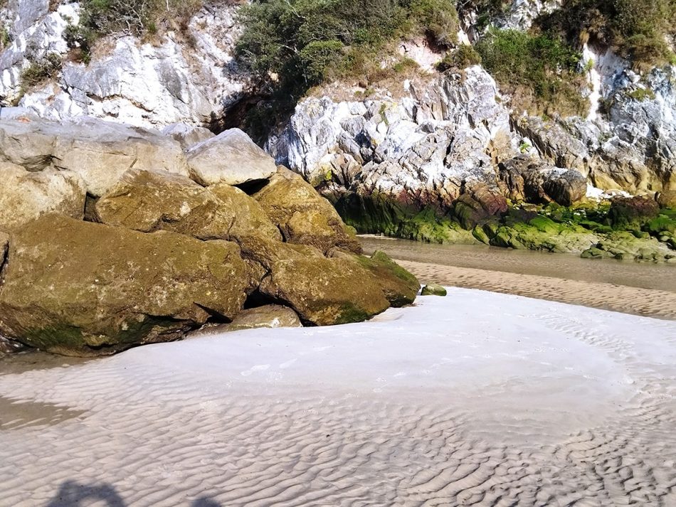 Coordinadora Ecoloxista d´Asturies: «Nos vuelven a preocupar los elevados niveles de nitratos presentes en la playa de la Franca, en Ribadedeva»