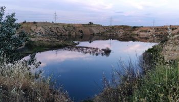 Organizaciones ecologistas y vecinales reclaman una “Casa de Campo del Este” en el distrito de San Blas-Canillejas