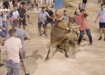 Alcohol y menores protagonizan los toros embolados de Godelleta este fin de semana