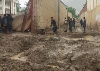 Rusia dispuesta a reemplazar envío ucraniano de granos a África