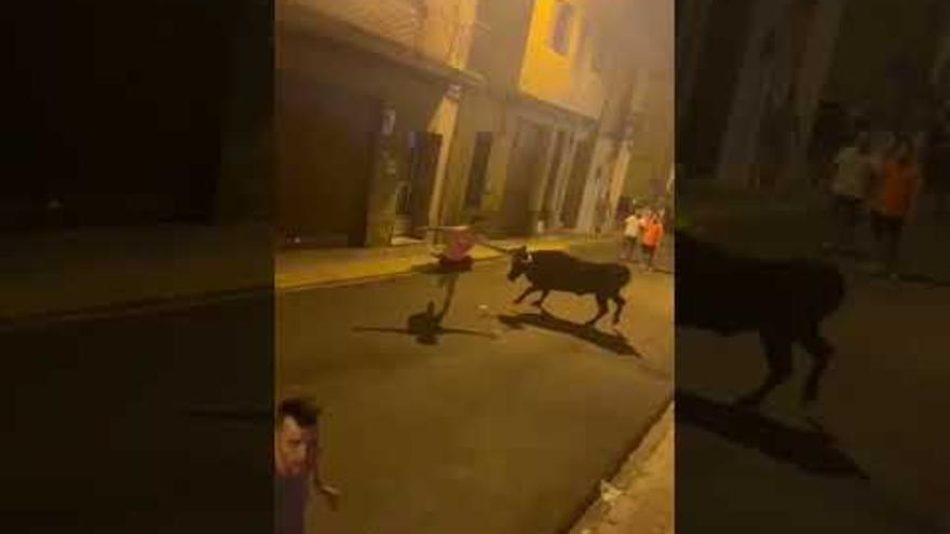 La plataforma antitaurina de Alfafar se pronuncia sobre el atropello del viernes durante el festejo