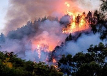 Van 73.500 hectáreas quemadas por incendios en España este año