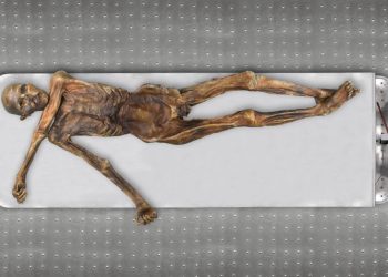 El hombre de hielo Ötzi era calvo, de piel oscura y con ascendencia anatolia