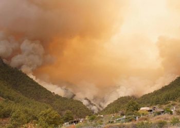 El incendio de Tenerife entra en La Orotava y ya son seis los municipios afectados