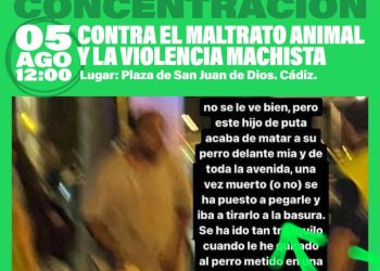 PACMA se personará como acusación y convoca concentración por la muerte de un perro en la Avd. Cayetano del Toro en Cádiz