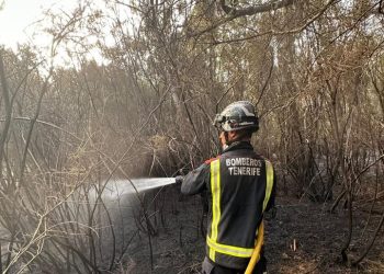 El incendio de Tenerife afecta ya a 5.000 hectáreas y diez municipios de la isla