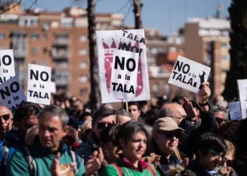 Alianza Verde se une a las asociaciones, colectivos y a la ciudadanía madrileña y registra alegaciones al proyecto de la Línea 11 de Metro para frenar el arboricidio