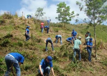 Más de 30 organizaciones se han sumado ya a la iniciativa de pacto de ciudad de Córdoba por la reforestación