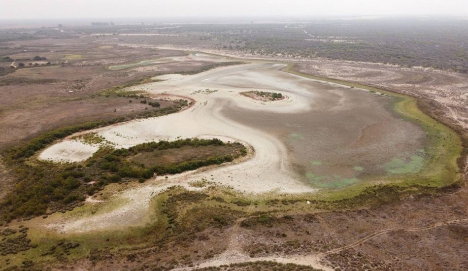 Santa Olalla, la laguna más grande de Doñana, se seca por segundo año consecutivo