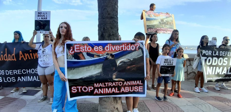 Tirar toros al mar: la polémica tradición de Jávea (Valencia). Convocada manifestación el 27 de agosto