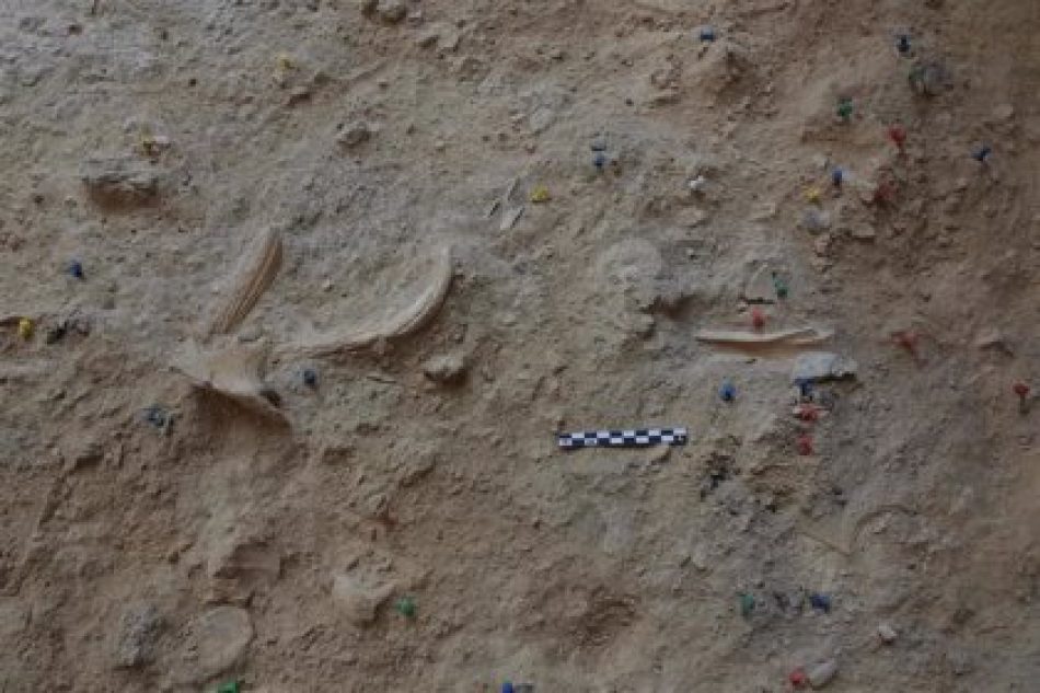 Arqueólogos recuperan más de mil restos de un campamento neandertal en Capellades (Barcelona)