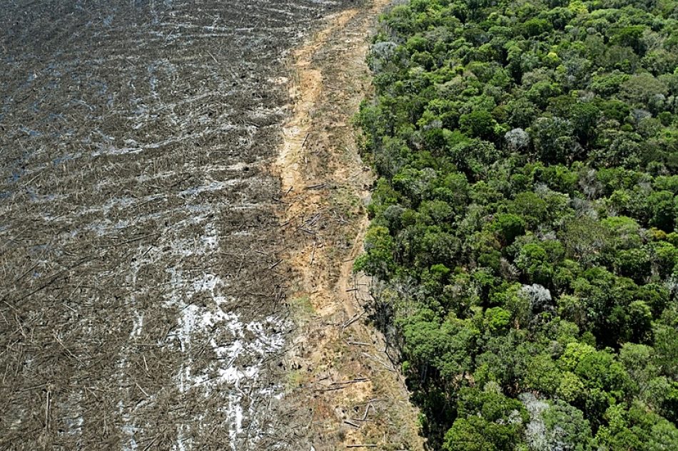 En 12 meses, la deforestación subió 16,5% en el Cerrado y bajó 7,4% en la Amazonía
