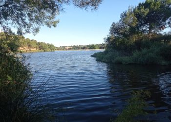 La Comunidad de Madrid concede una protección inexistente al embalse de Los Peñascales y le atribuye una falsa relevancia ambiental