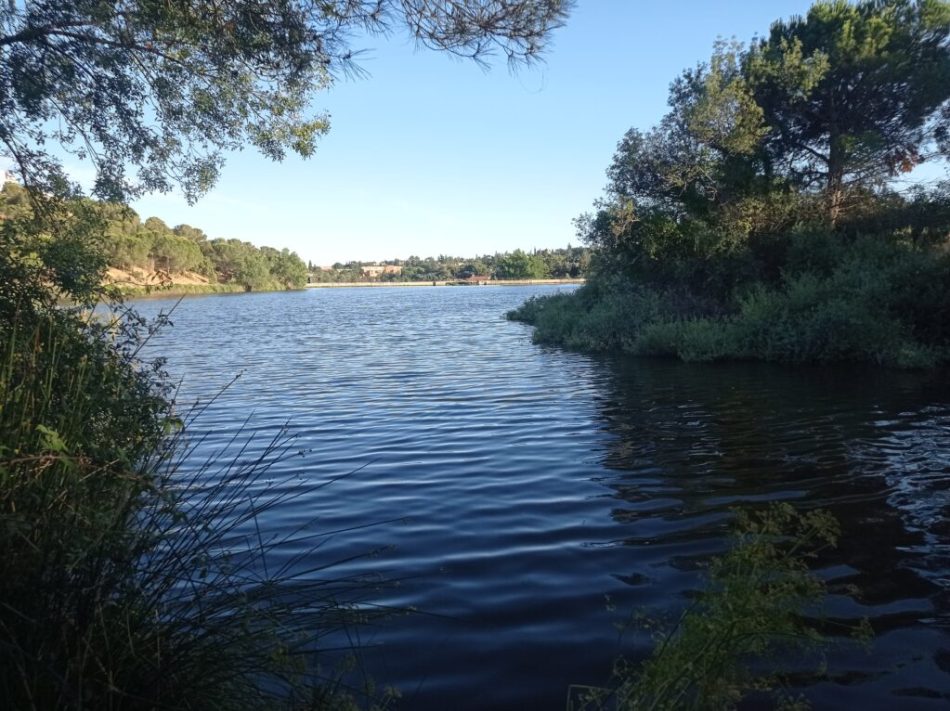 La Comunidad de Madrid concede una protección inexistente al embalse de Los Peñascales y le atribuye una falsa relevancia ambiental