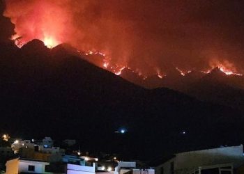 Incendio afecta cerca de 800 hectáreas en Tenerife