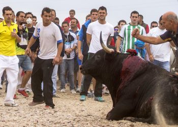 El recurso de PACMA deja a Tordesillas sin Torneo del Toro de la Vega un año más