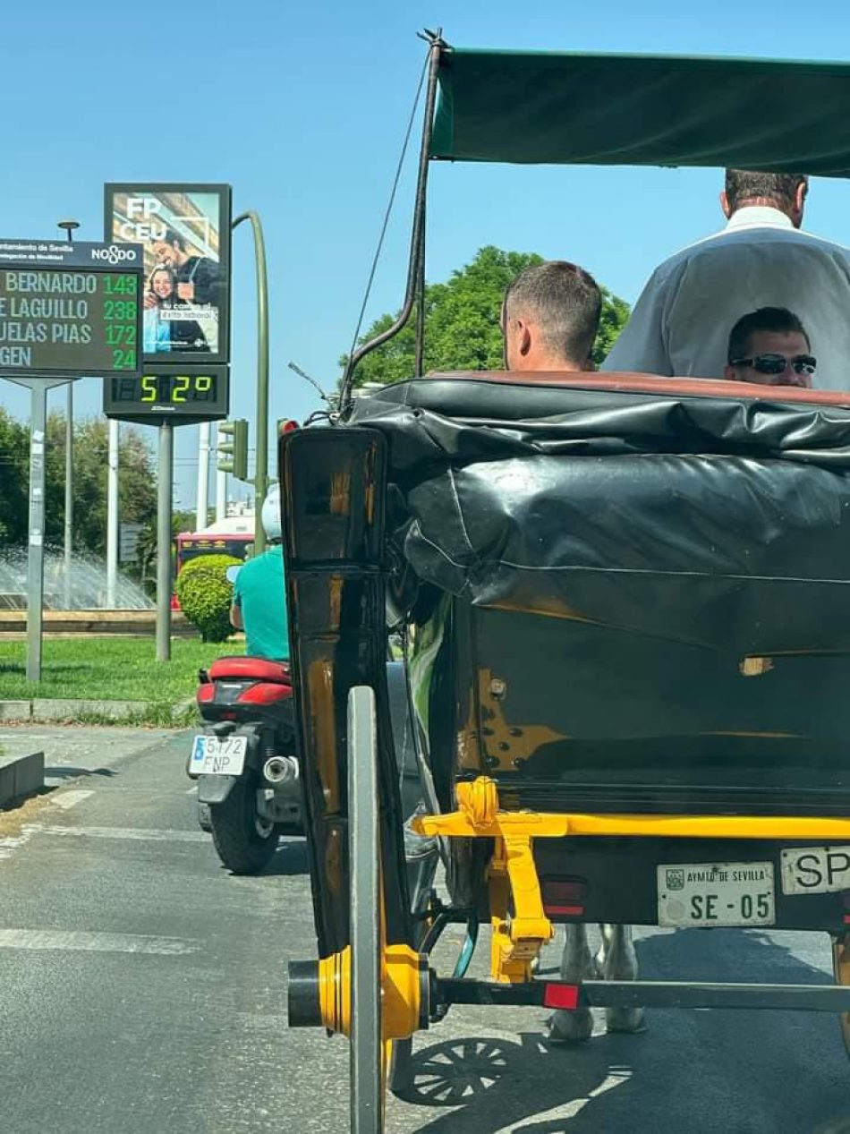 Un cochero de Sevilla manda «a fregar» a una mujer que le recrimina el circular con un caballo a más de 50ºC