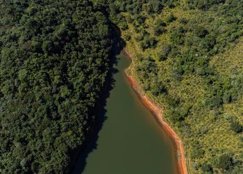 La protección de un 25 % de las áreas forestales del mundo está pendiente de la decisión de la Unión Europea
