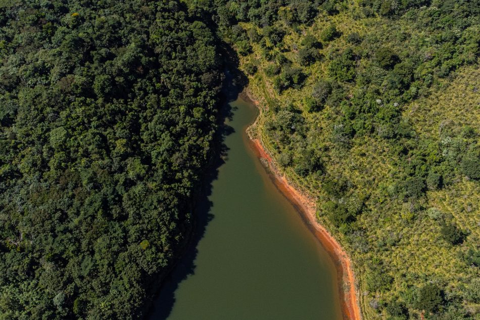 La protección de un 25 % de las áreas forestales del mundo está pendiente de la decisión de la Unión Europea