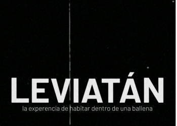 ‘Leviatán. La experiencia de habitar dentro de una ballena’: una auto – obra, una experiencia teatral personalizada