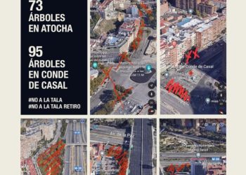 Los colectivos vecinales llevan al Parlamento Europeo la tala de los árboles de la línea 11