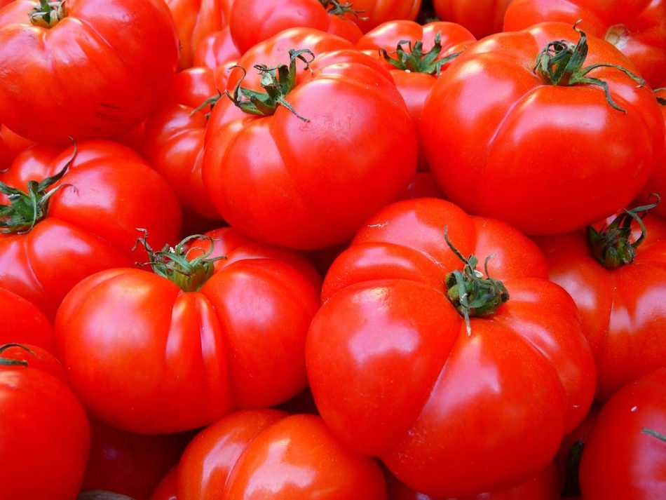 Nueva vía para crear tomates resistentes a plantas parásitas sin afectar a su crecimiento